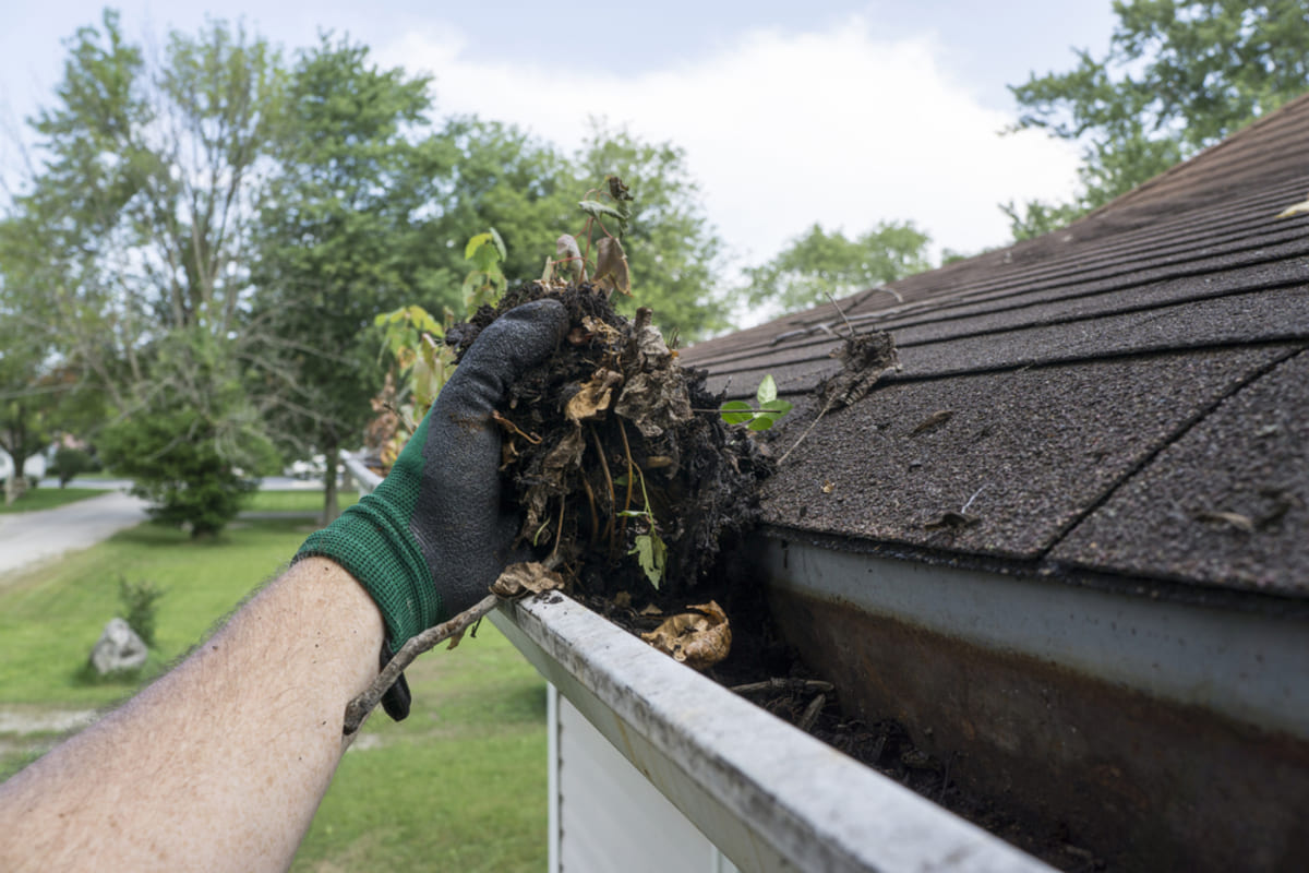 A person wearing a glove cleaning out the gutter of a house - roofing services concept