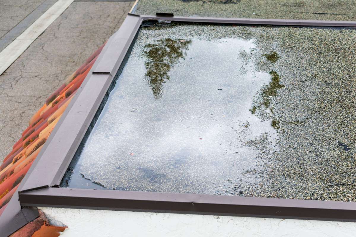 Puddle of water on roof causing roof damage