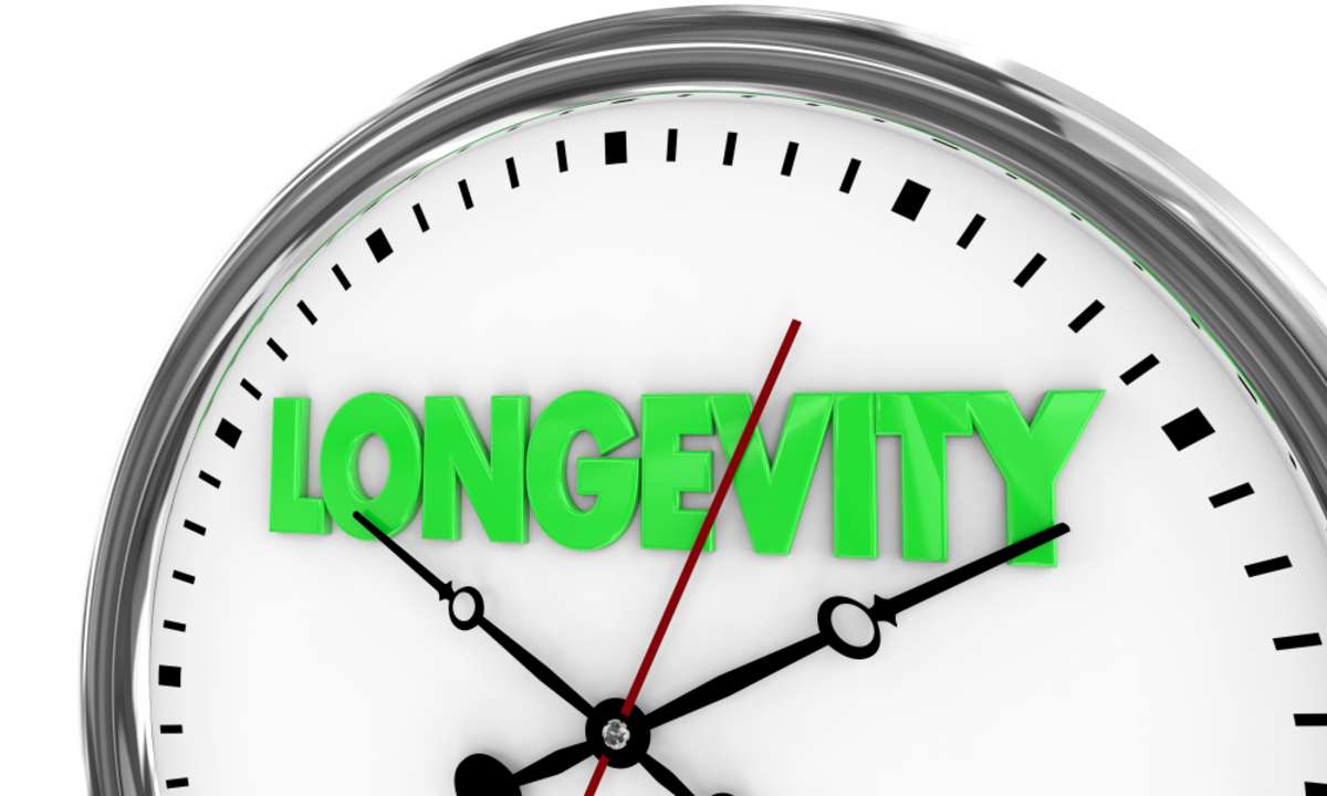 Stopwatch that says longevity, roof lifespan concept