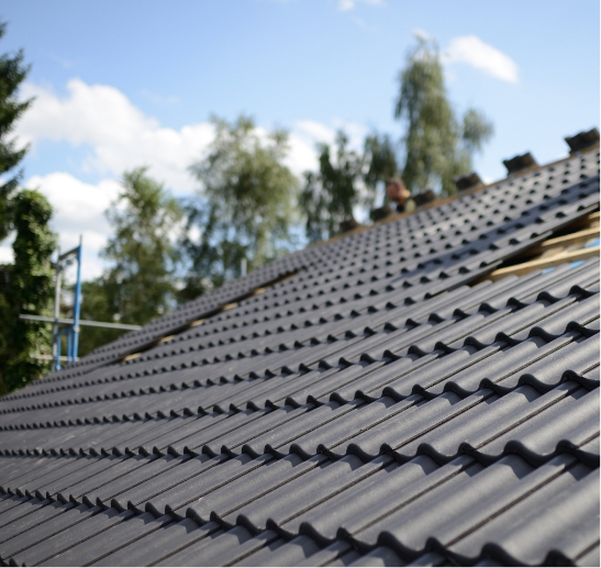img-Specialty-Tile Roof-main