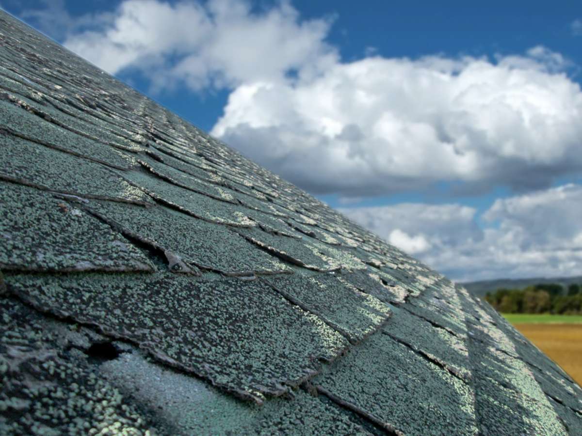 Hail Damaged Roofing Shingles Inspection