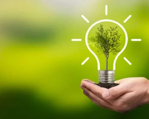 Light_bulb_with_a_growing_tree_inside,_energy_efficiency_concept